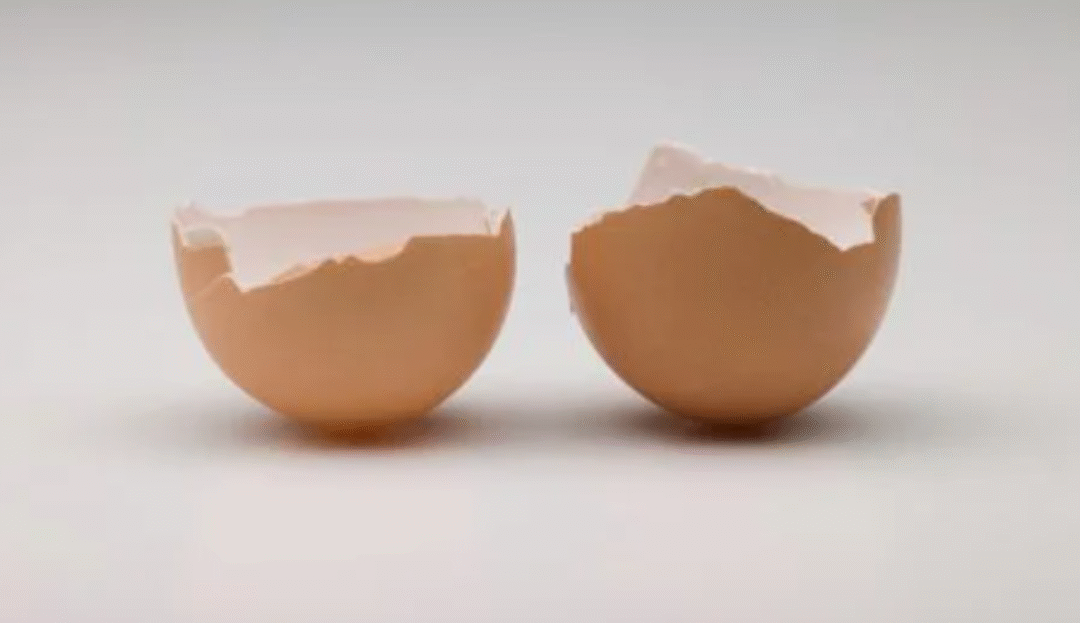 Compostage des coquilles d’œufs : astuces pour un compost efficace en milieu urbain