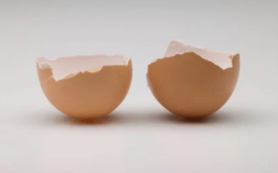 Compostage des coquilles d’œufs : astuces pour un compost efficace en milieu urbain