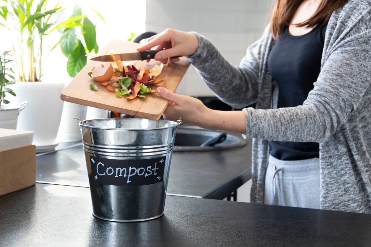 Compost balcon sans odeur