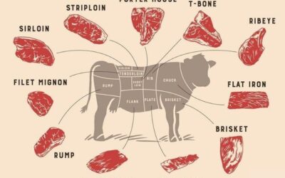 Conversion décilitres millilitres : maîtrisez les mesures pour vos fonds de viande