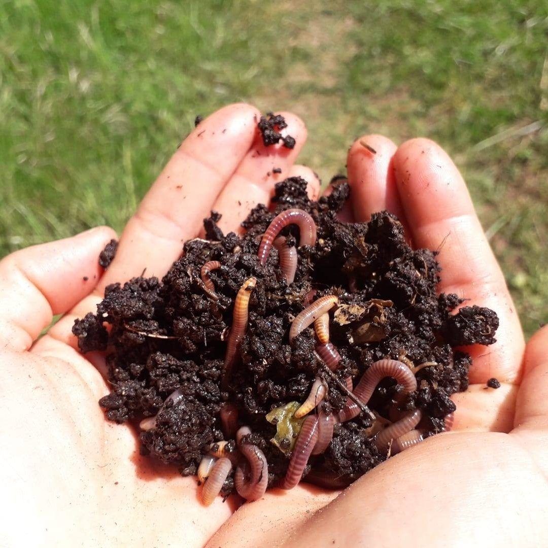 Compost balcon sans odeur