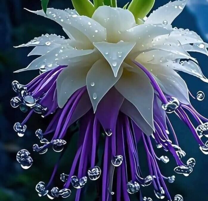 Fleur rare : exploration des plus rares spécimens du monde