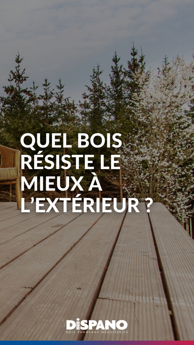 Traitement bois humidité