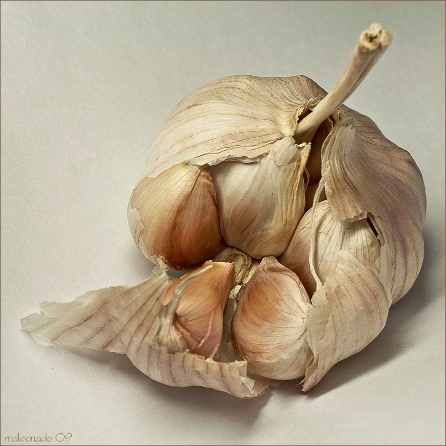 Gousse d'ail vs tête d'ail