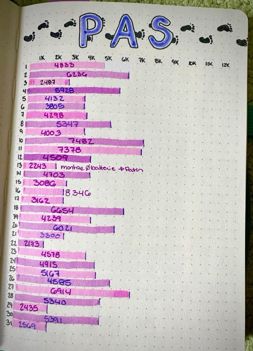 Journal de bord perte de poids