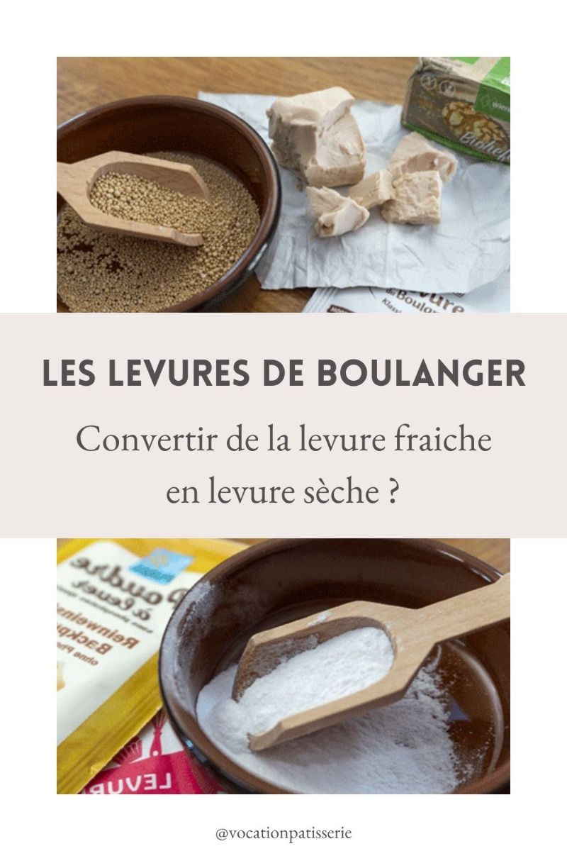 Alternative levure chimique