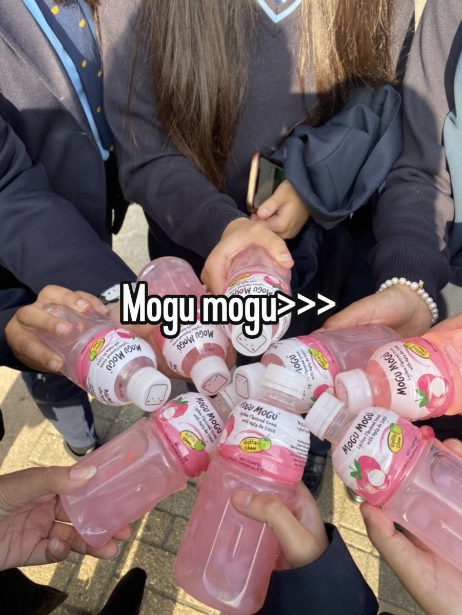 Boisson Mogu Mogu esthétique