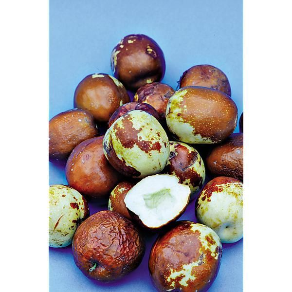 Fruits et légumes en J