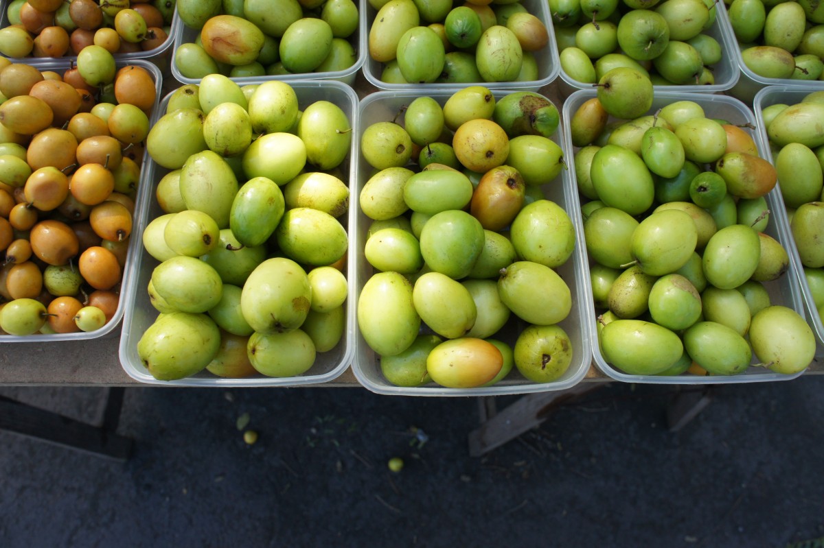 Jujube fruit exotique