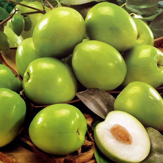 Fruits et légumes en J