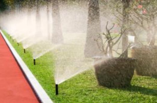 Arrosage automatique : système complet pour jardin moderne