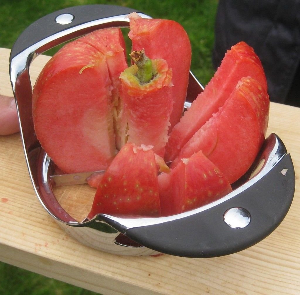 Fruits et légumes en J