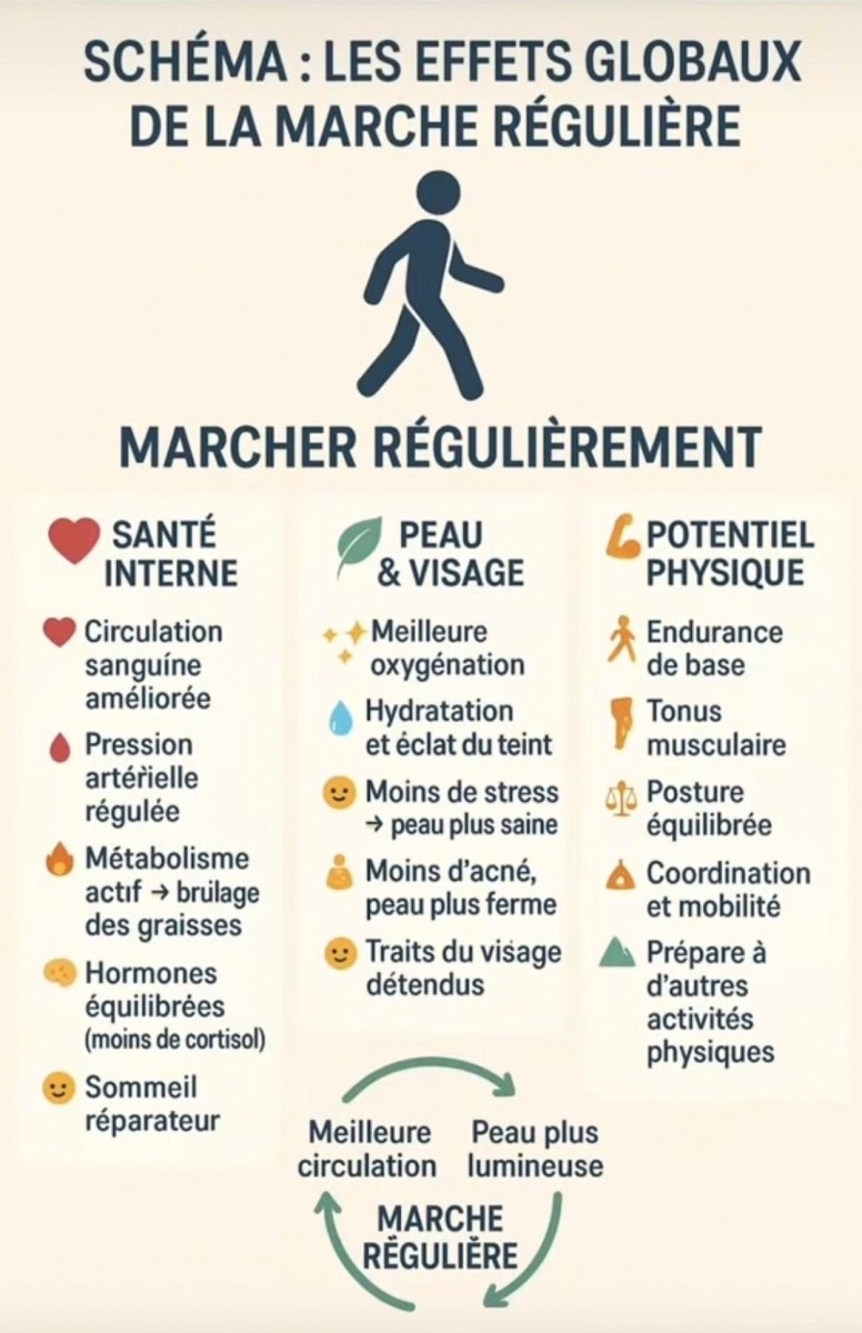 Conseils santé seniors bien-être