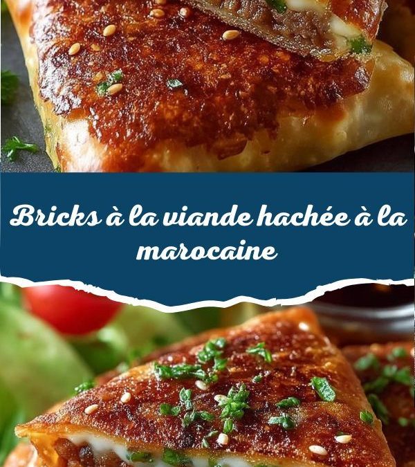 Délicieuses bricks farcies à la viande hachée : recettes savoureuses à découvrir