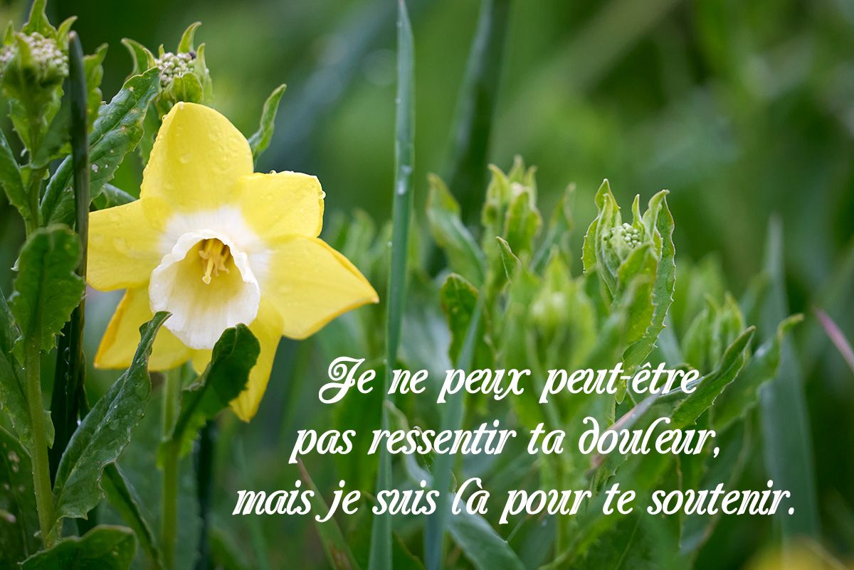 Carte message soutien amitié