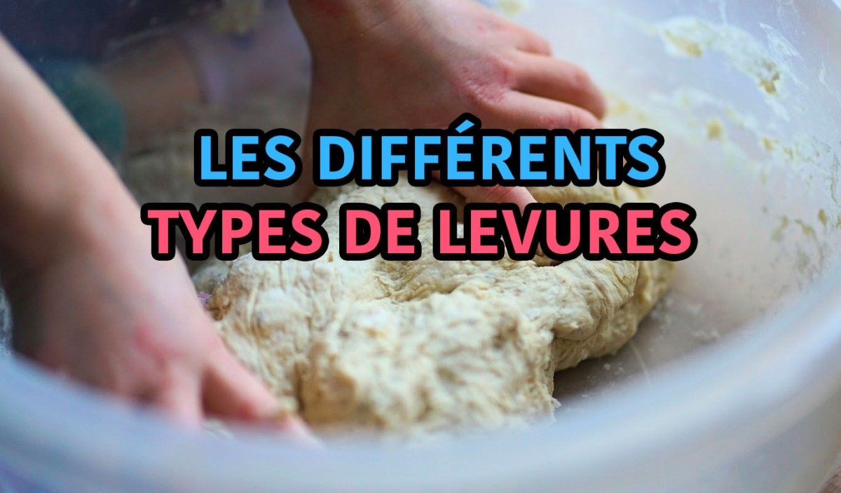 Alternative levure chimique