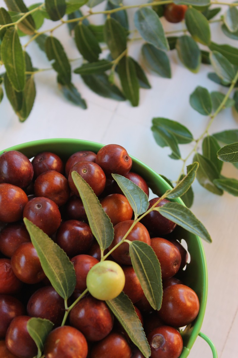 Fruits et légumes en J