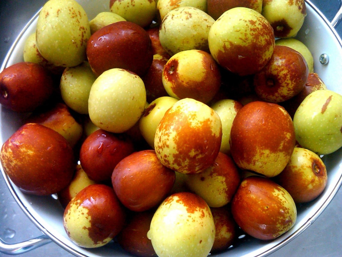 Jujube fruit exotique