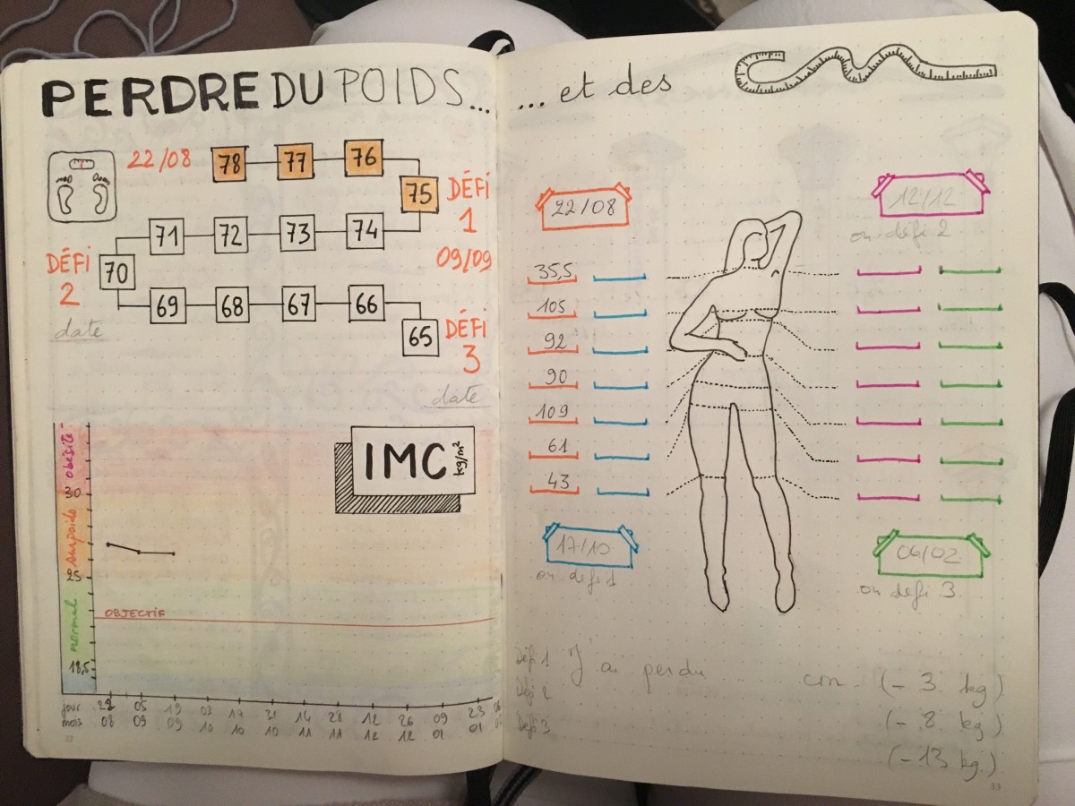 Journal de bord perte de poids